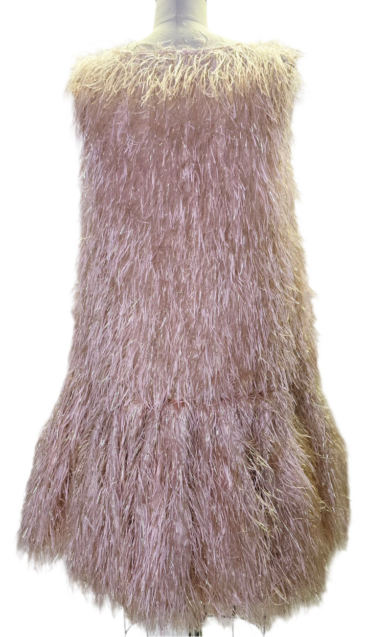 C5 - Flare Champagne Feather Dress