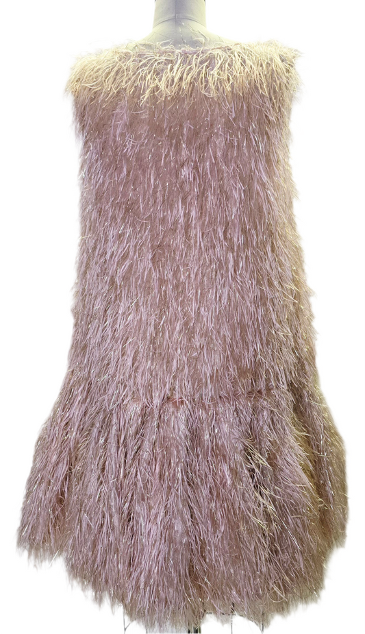 C5 - Flare Champagne Feather Dress