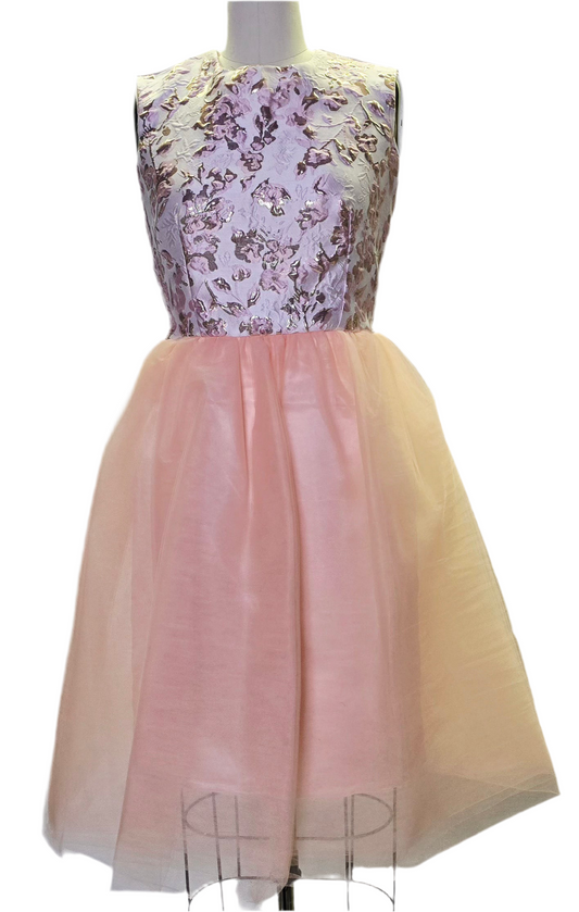 C4 - Blush of Dawn Dress