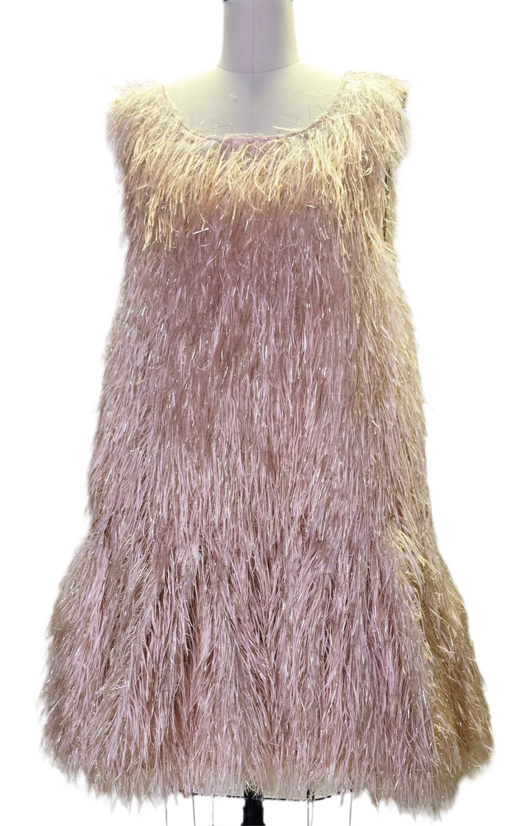 C5 - Flare Champagne Feather Dress